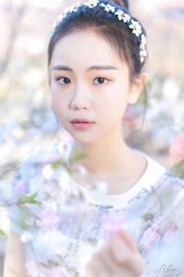 树下有片红房子电视剧免费观看全集